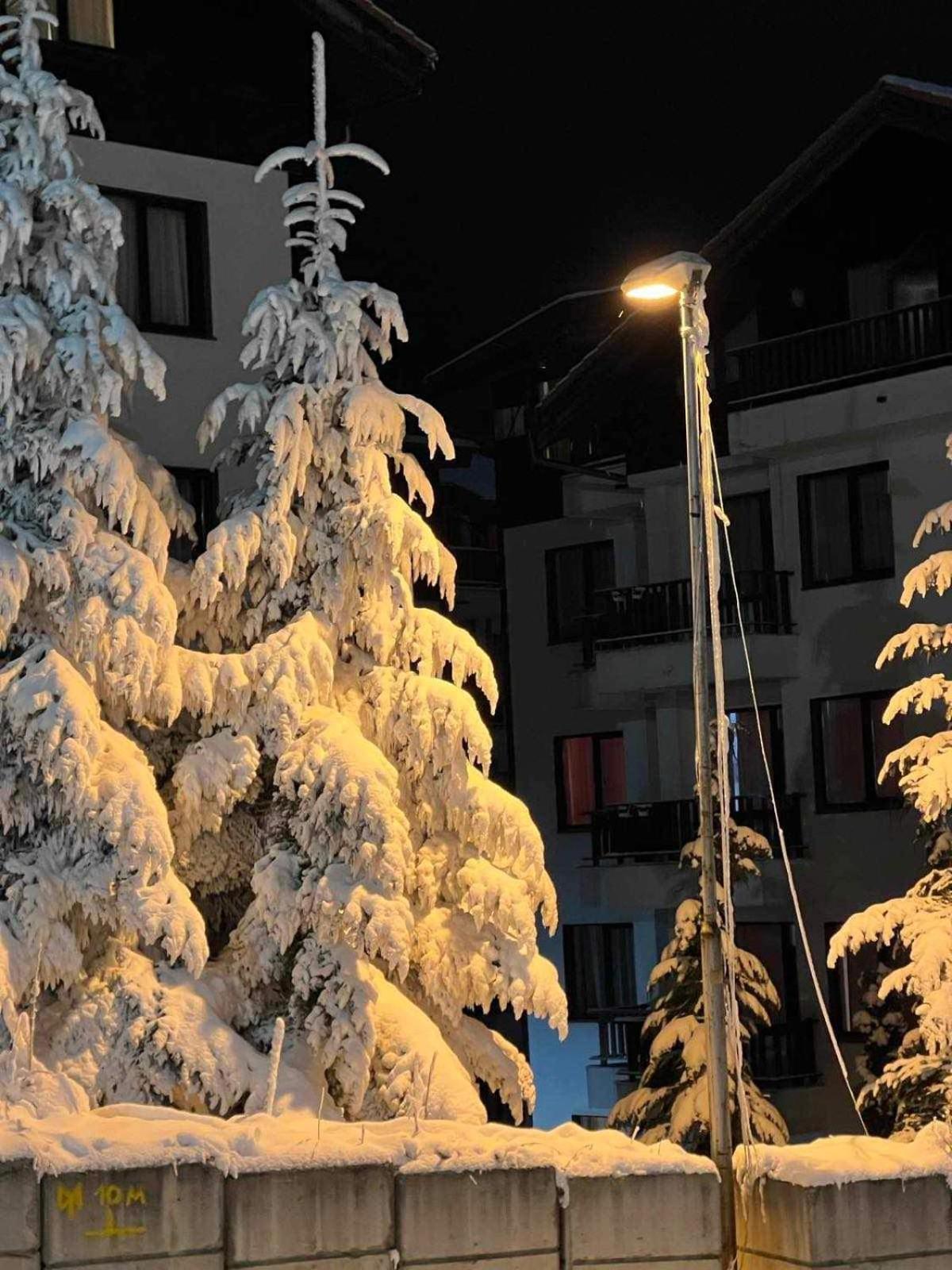 Arboro Borovets Gardens E68 Apartment ภายนอก รูปภาพ